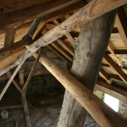 La charpente bois : techniques et savoir-faire du charpentier à Cavaillon